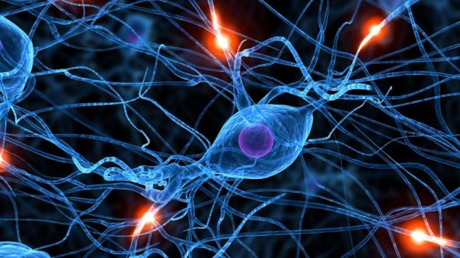 por los avances cientificos, incorporan a la unlp a una red internacional sobre epilepsia