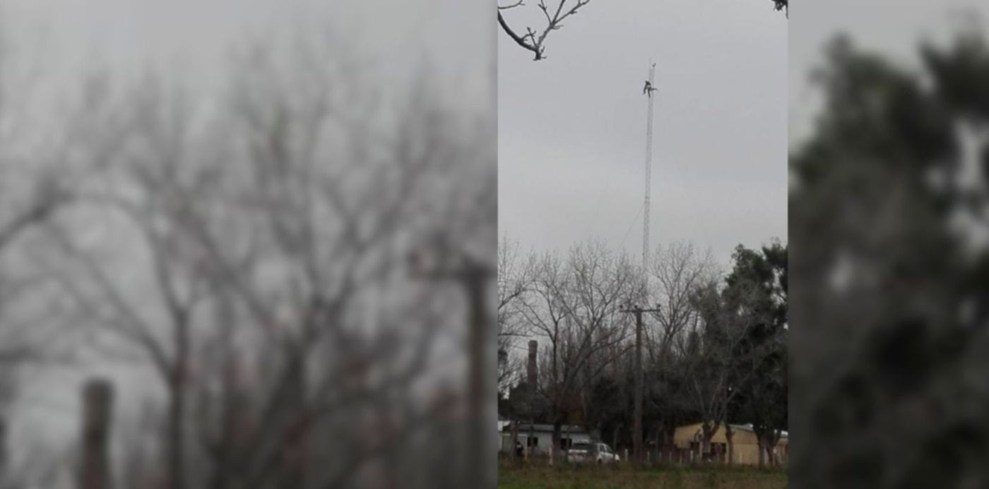 1560534532282.jpg?x=3&width=1484&height=742&rotate=0&y=0&scaleX=1&scaleY=1&ow=1500&oh=742&&cw=1920&ch=950