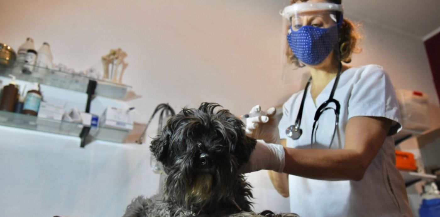 1612991056623.jpg?x=7&y=115&width=1496&height=748&rotate=0&scaleX=1&scaleY=1&ow=1500&oh=1000&&cw=1920&ch=950