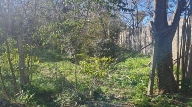 un grupo de personas destrozo un cerco e intento usurpar un terreno en la plata
