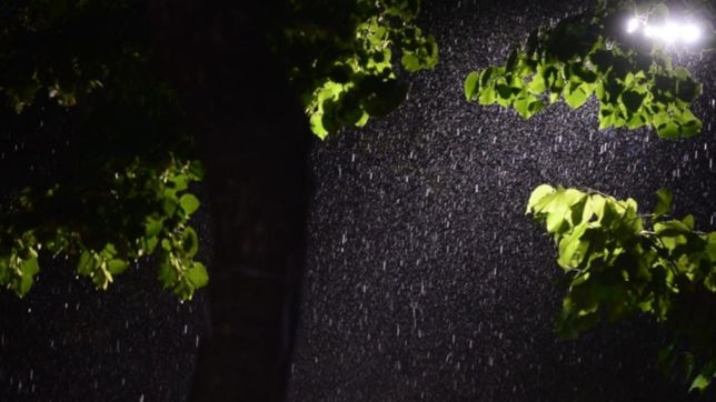 zona por zona: ¿en que lugar de la plata cayo mas agua?