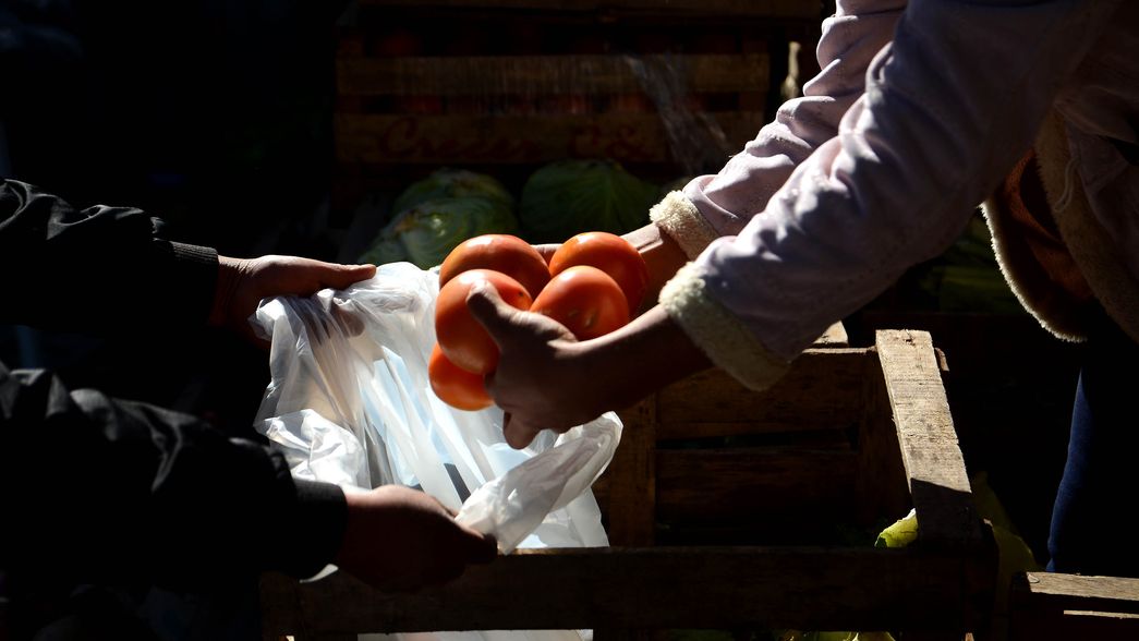 ¿Cuáles fueron los alimentos que más aumentaron e impactaron en la canasta familiar en La Plata?
