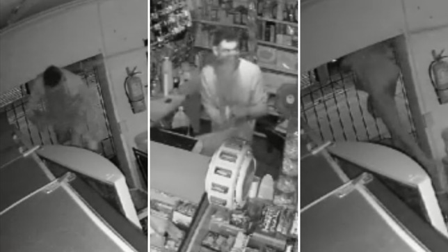 un ladron robo un kiosco de la plata y sono la alarma, pero igual se quedo robando