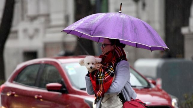 gris, fresco y lluvioso: anticipan al menos otros 2 dias de clima inestable en la plata
