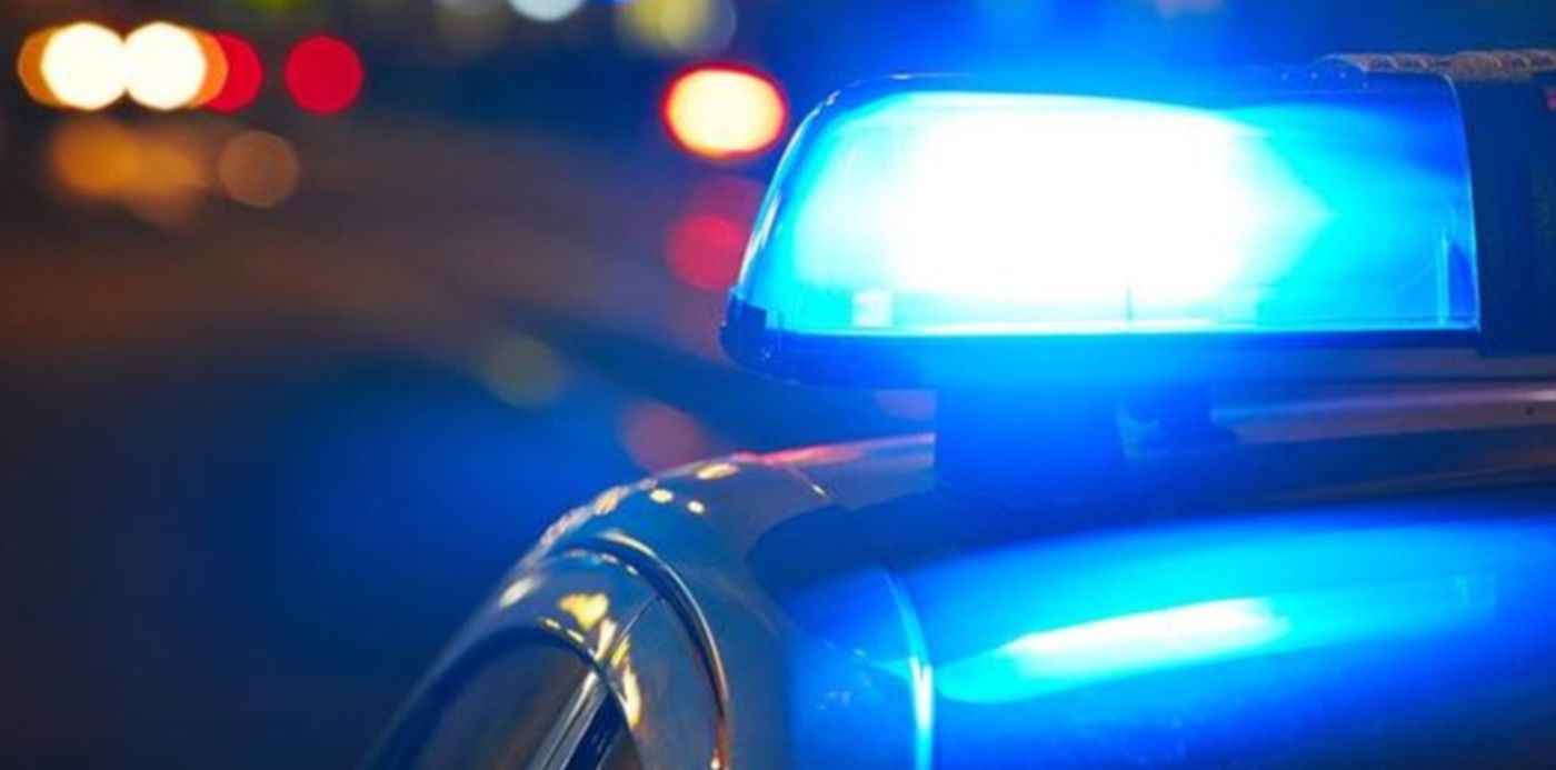 1534853830907.jpg?x=4&y=194&height=596&rotate=0&scaleX=1&scaleY=1&width=1191&ow=1200&oh=801&&cw=1920&ch=950