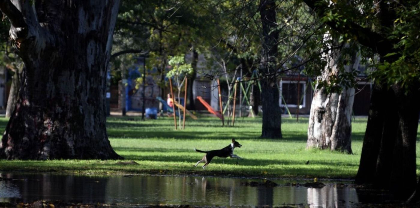 1527248400949.jpeg?scaleY=1&width=1266&scaleX=1&height=633&rotate=0&ow=1280&oh=644&x=7&y=6&&cw=1920&ch=950