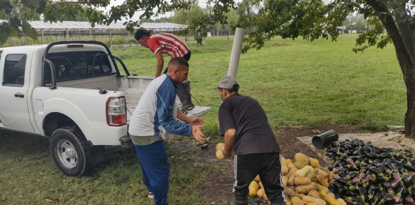 Huerta solidaria SPB