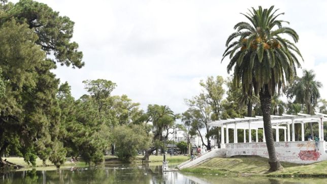 las platenses se organizaron tras el ataque del apunalador: nos cuidamos entre nosotras