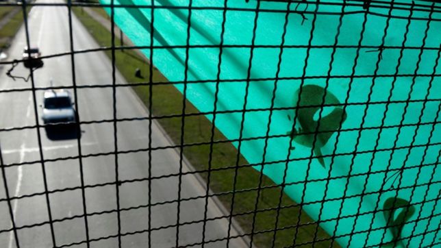 la plata otra vez intervenida por el aborto legal: colgaron panuelos gigantes en puentes