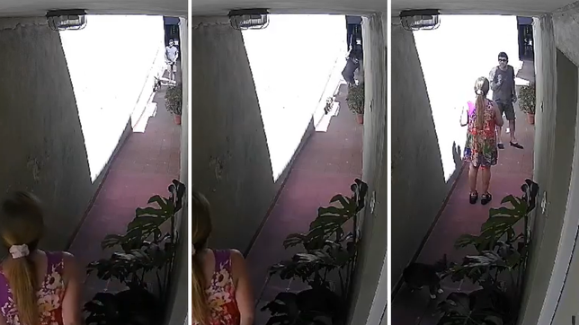 le pego un latigazo al gato de su vecina porque le rompe las plantas y quedo filmado