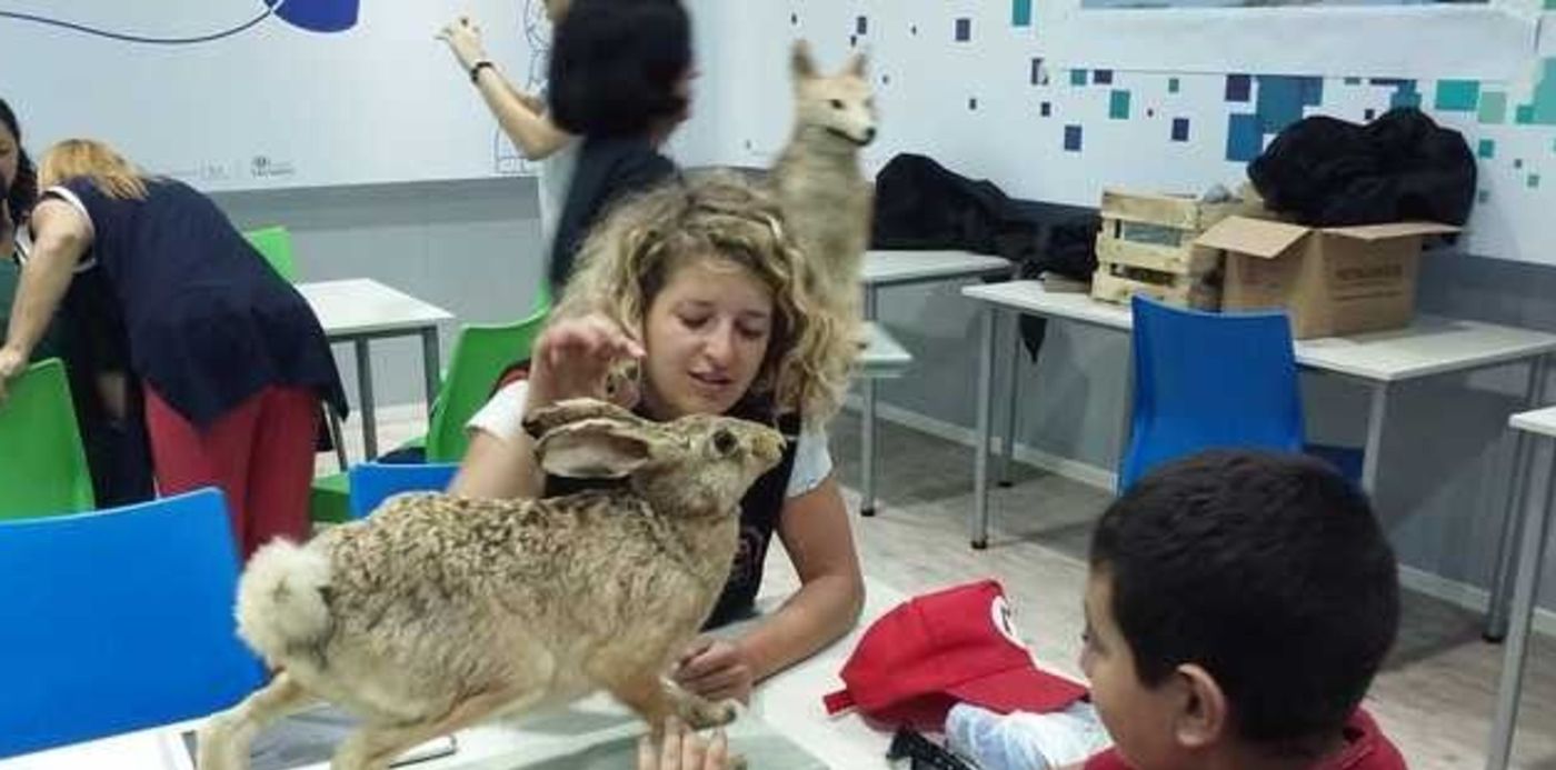 1544556330996.jpg?oh=480&x=11&scaleX=1&scaleY=1&ow=640&y=16&width=627&height=314&rotate=0&&cw=1920&ch=950