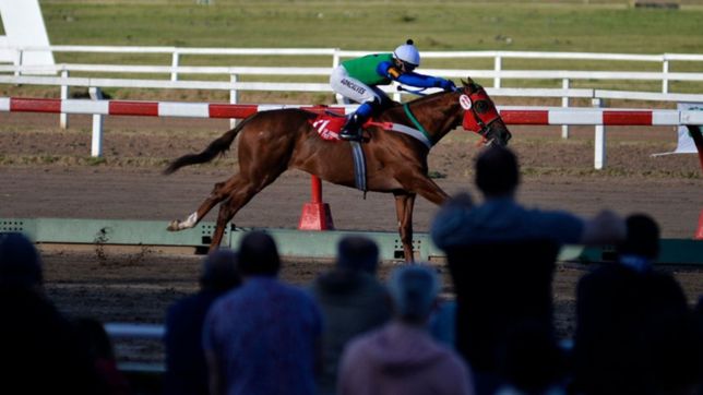 denuncian que un stud quema bosta y aserrin con orina de caballo y el olor es insoportable