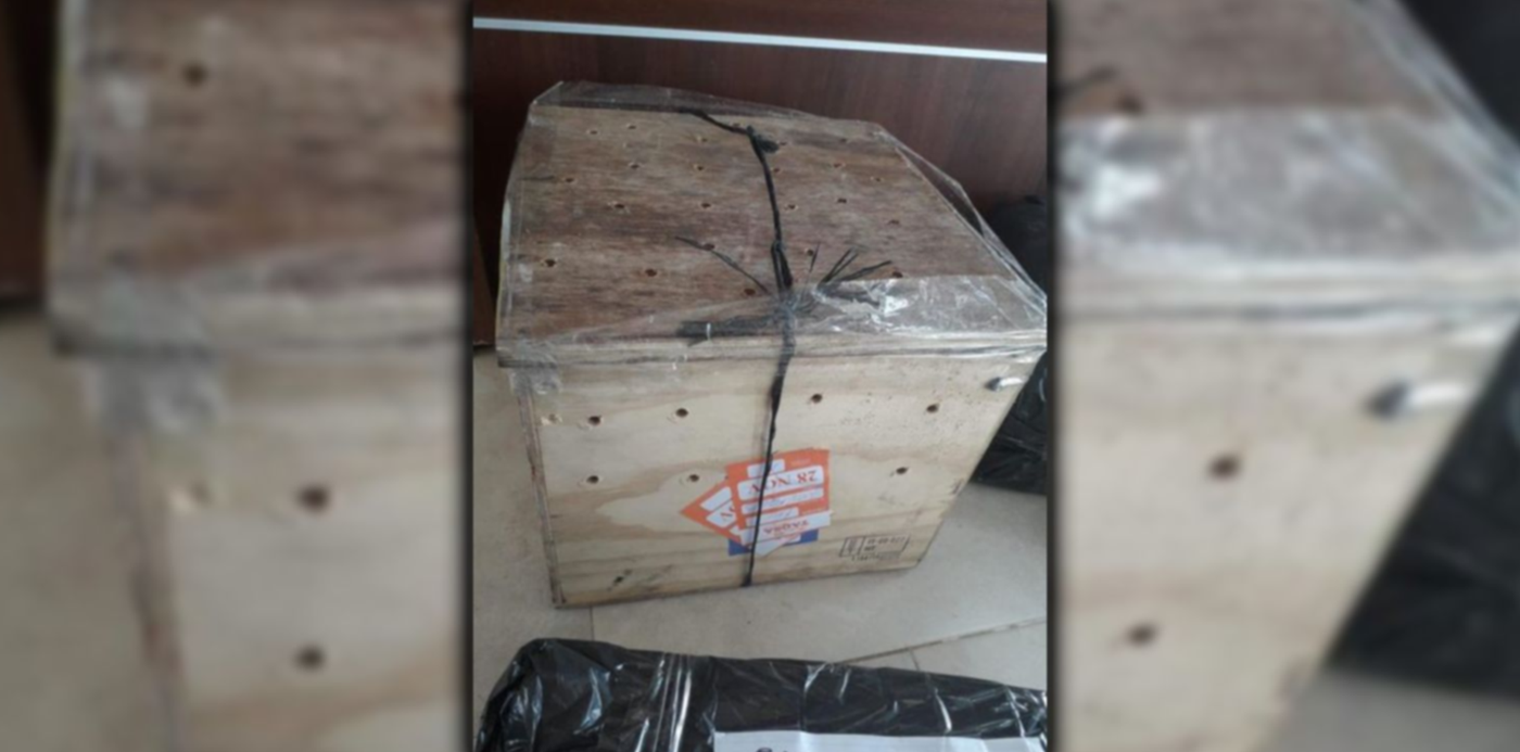 1650822690710.jpg?x=13&y=2&width=1474&height=738&rotate=0&scaleX=1&scaleY=1&ow=1500&oh=742&&cw=1920&ch=950