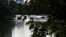 ¿como es inusual parasito del lago del bosque de la plata que vive y se desarrolla dentro de otro? ¿como es inusual parasito del lago del bosque de la plata que vive y se desarrolla dentro de otro?