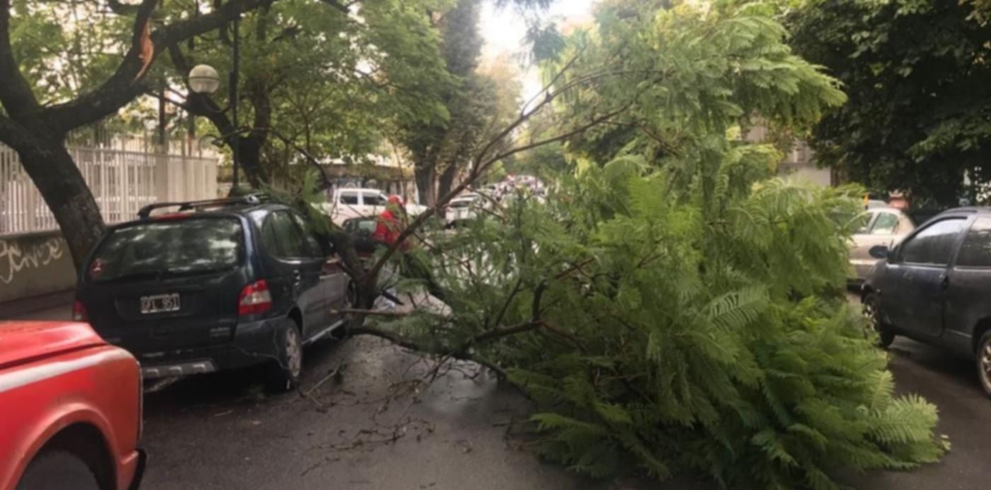 1552650527252.jpg?height=499&scaleX=1&scaleY=1&ow=1024&x=15&width=998&rotate=0&oh=768&y=177&&cw=1920&ch=950