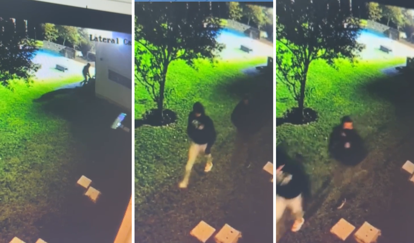 Diseño sin título (22).png