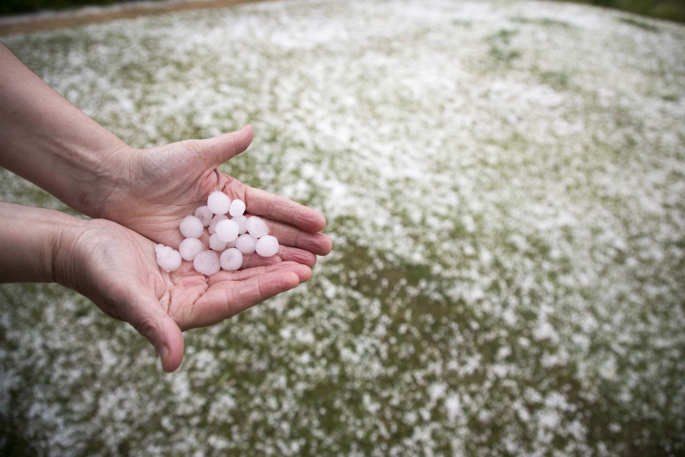 Un experto de La Plata prevé la posible caída de "granizo mediano" en medio del temporal - Image 1