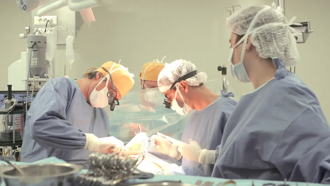 los cardiologos paran por 48 horas y la protesta se siente en clinicas y sanatorios