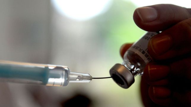 la curva del coronavirus no cede en la plata y sigue con mas de 700 casos semanales