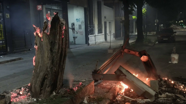 incendiaron un contenedor en la plata y un arbol termino envuelto en llamas