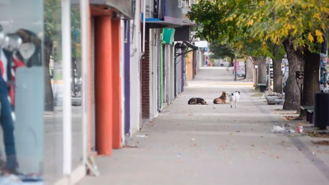 tras el del dia de la independencia, estos son todos los feriados hasta fin de ano