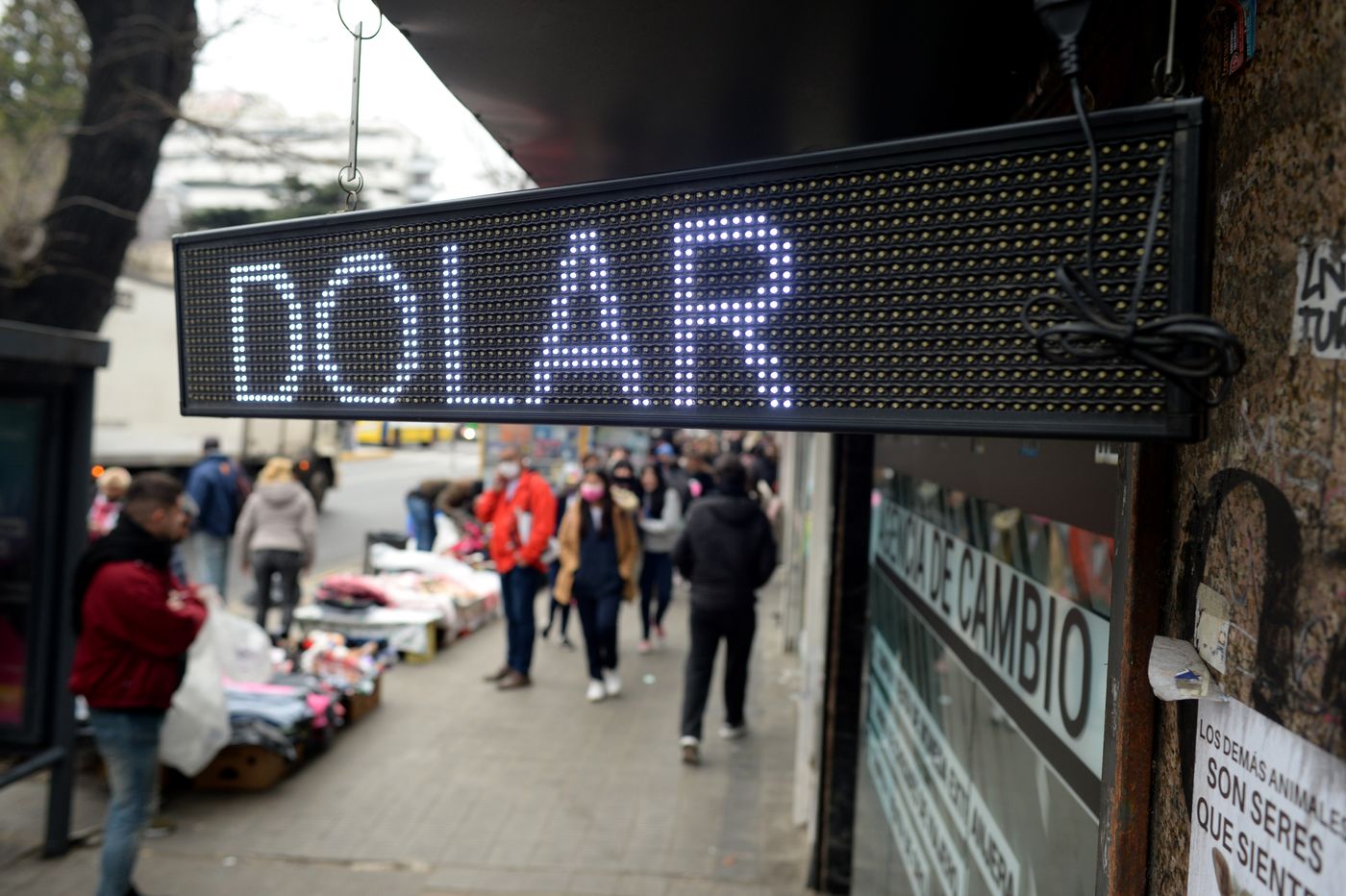 Dólares casas de cambio (12).JPG