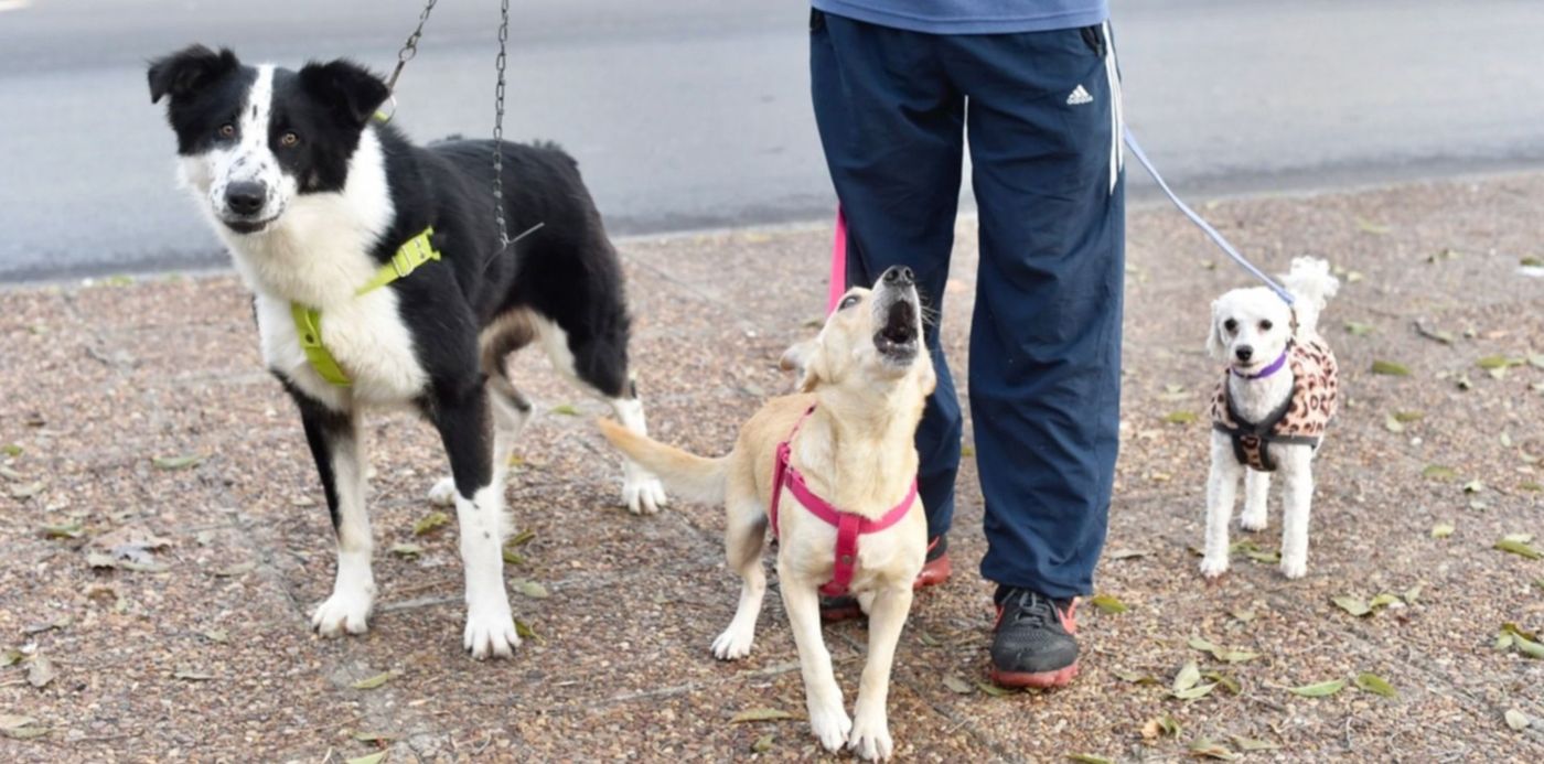 1623708457876.jpg?x=8&y=232&width=1481&height=740&rotate=0&scaleX=1&scaleY=1&ow=1500&oh=1016&&cw=1920&ch=950