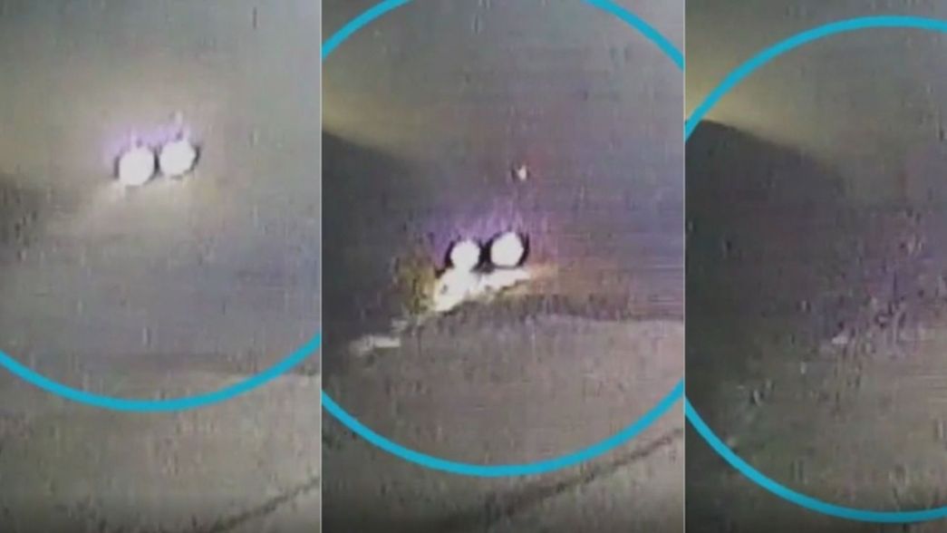 VIDEO: Un auto cayó de manera insólita a un arroyo en La Plata