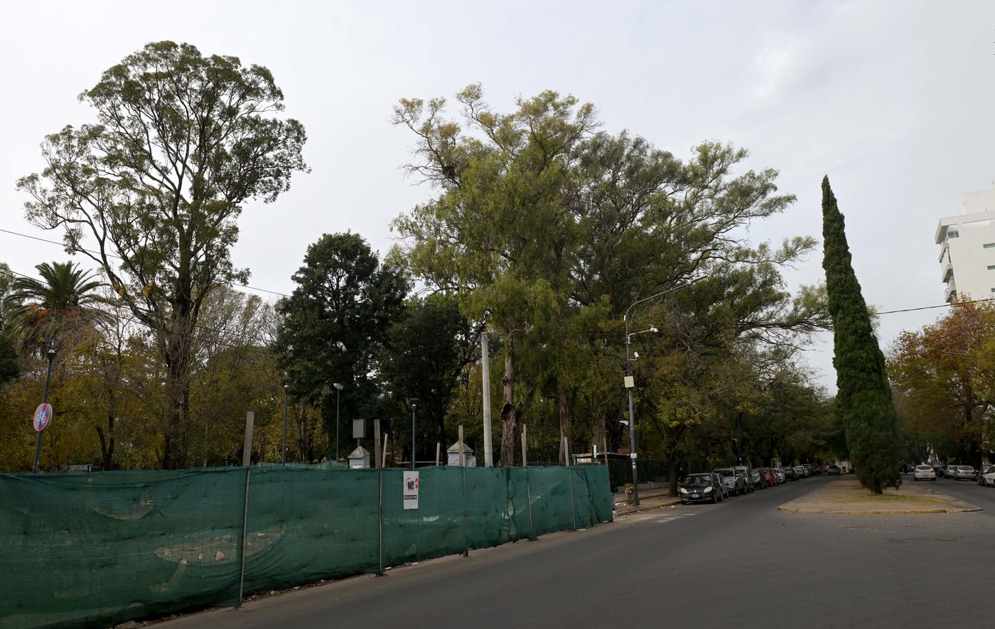 Los vecinos expresaron preocupación por el estado actual y el futuro de los árboles del Parque Saavedra