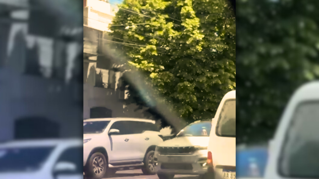 un enjambre de abejas invadio el centro de la plata y los expertos explican por que