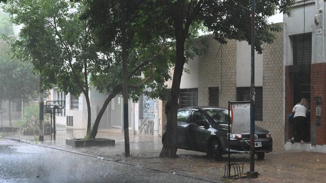 las tres zonas de la plata donde mas llovio durante la tormenta de ano nuevo