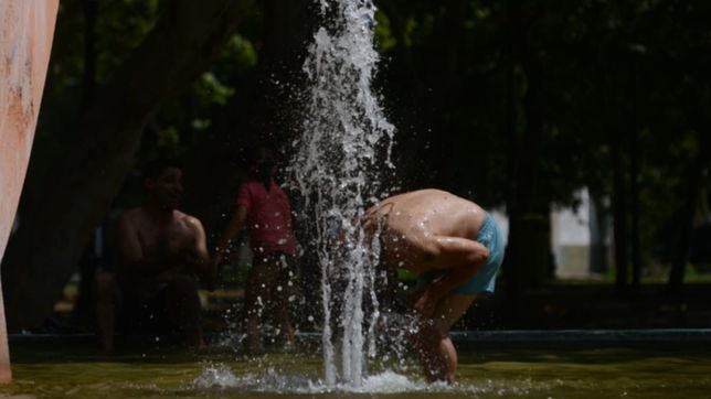 ola de calor para toda la semana en la plata: asi va a estar el clima dia por dia