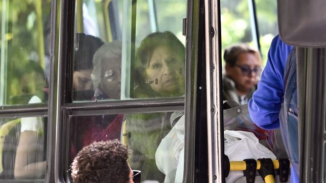 una encuesta en la plata revela que las mujeres viajan mas en micro que los hombres