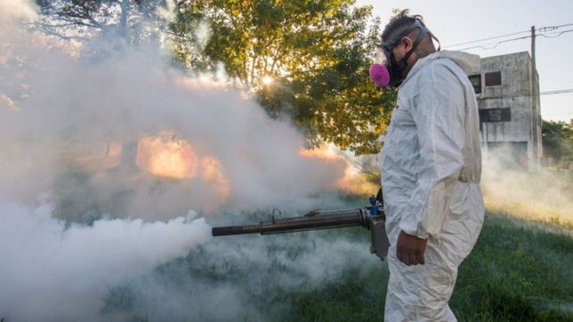 la municipalidad confirmo cuales seran los proximos barrios fumigados por el dengue