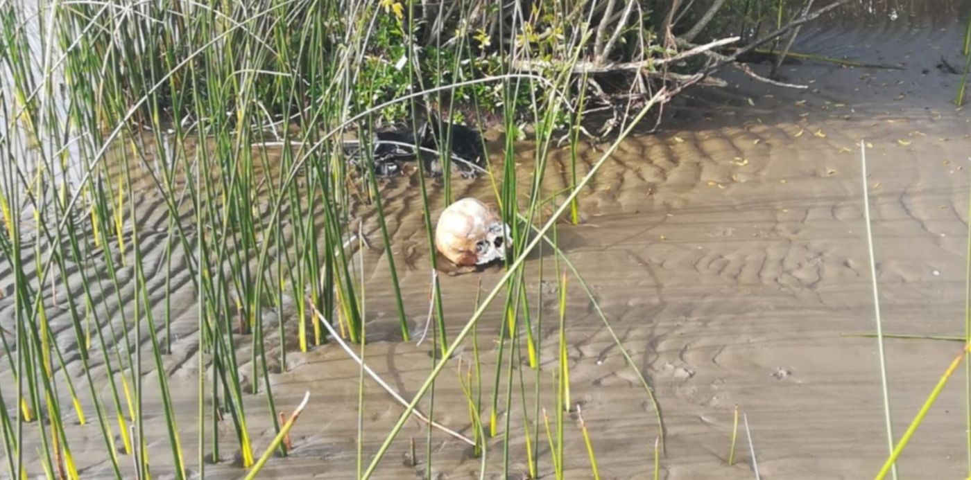 1559509725360.jpg?x=16&y=6&width=1254&scaleY=1&height=627&rotate=0&scaleX=1&ow=1280&oh=960&&cw=1920&ch=950