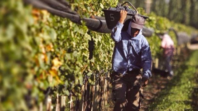dia del trabajador: ¿por que se celebra el 1º de mayo?