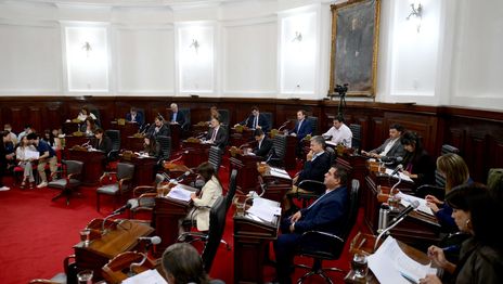 El dolor por la muerte del Indio Solari llegó al Concejo Deliberante y avanzan proyectos para recordarlo El dolor por la muerte del Indio Solari llegó al Concejo Deliberante y avanzan proyectos para recordarlo