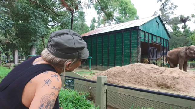 pelusa recibio la visita de daniela cardone en el bioparque