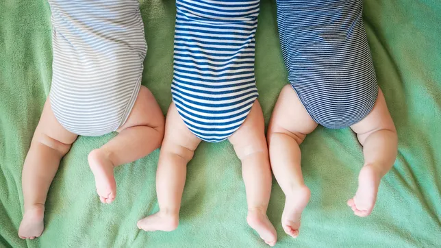 el extrano caso de las dos gemelas y un trillizo que nacieron en una clinica de la plata