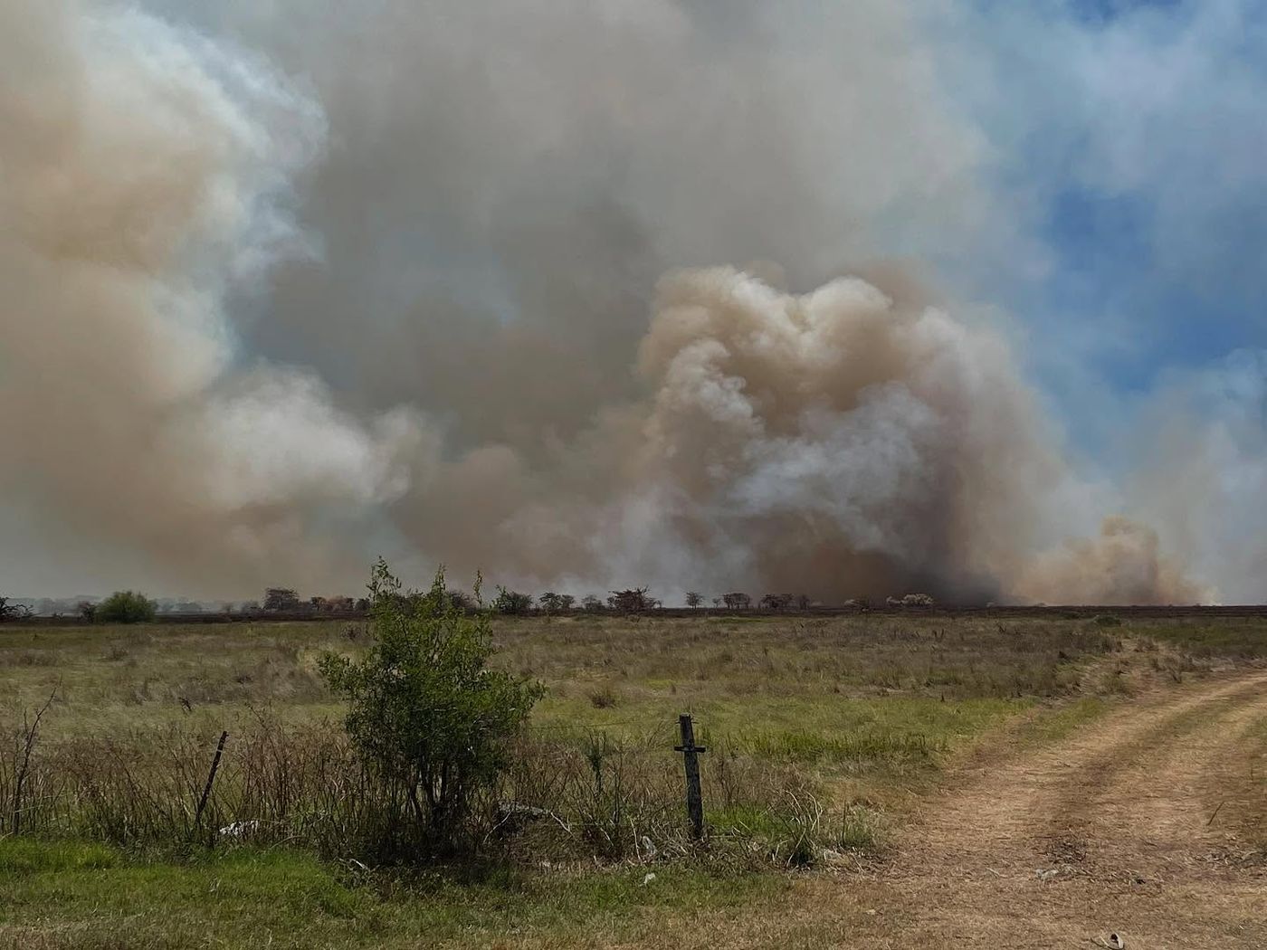 Incendio Reserva Natural de Punta Lara (3).jpg