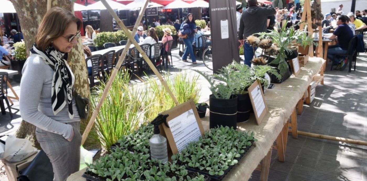 1664652133829.jpeg?x=10&y=132&width=1490&height=745&rotate=0&scaleX=1&scaleY=1&ow=1500&oh=997&&cw=1920&ch=950