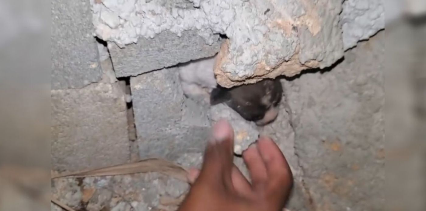 1607953483413.jpg?x=41&y=7&width=1240&height=620&rotate=0&scaleX=1&scaleY=1&ow=1350&oh=650&&cw=1920&ch=950