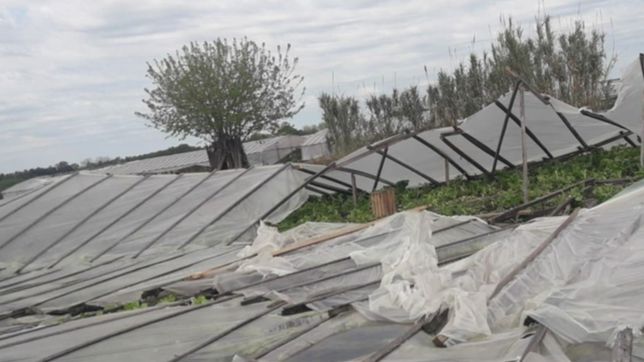 apuran la entrega de materiales a los productores afectados por el temporal en la plata