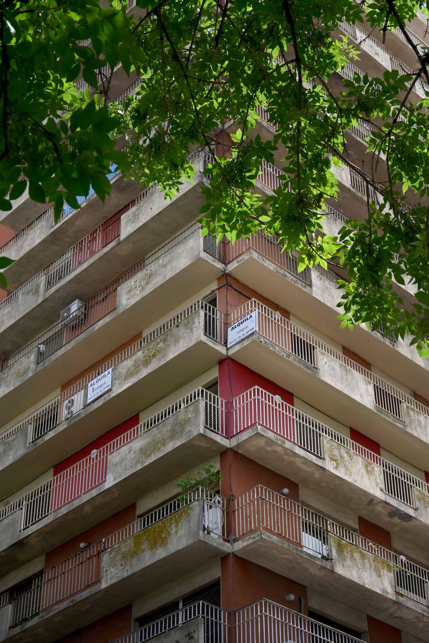 Departamentos alquileres (1).JPG