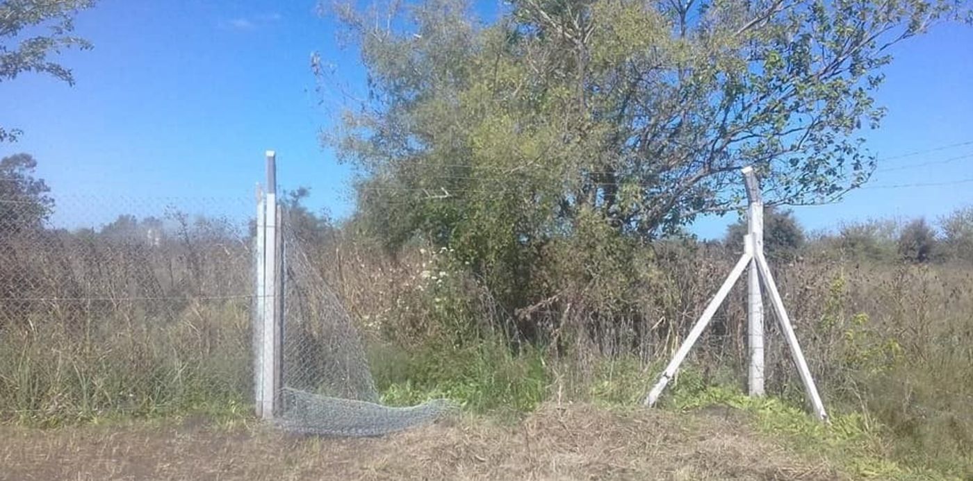 1554937533161.jpg?scaleY=1&ow=960&oh=576&scaleX=1&x=2&y=94&width=956&height=478&rotate=0&&cw=1920&ch=950