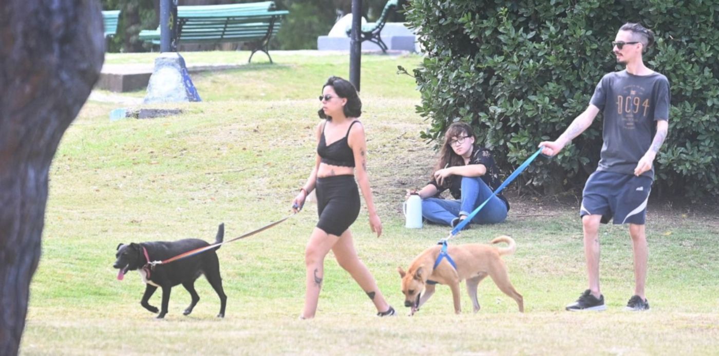 Clima Calor Verano Primavera