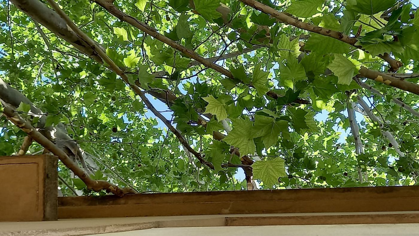 WhatsApp Image 2025-06-24 at 21.30.13.jpeg