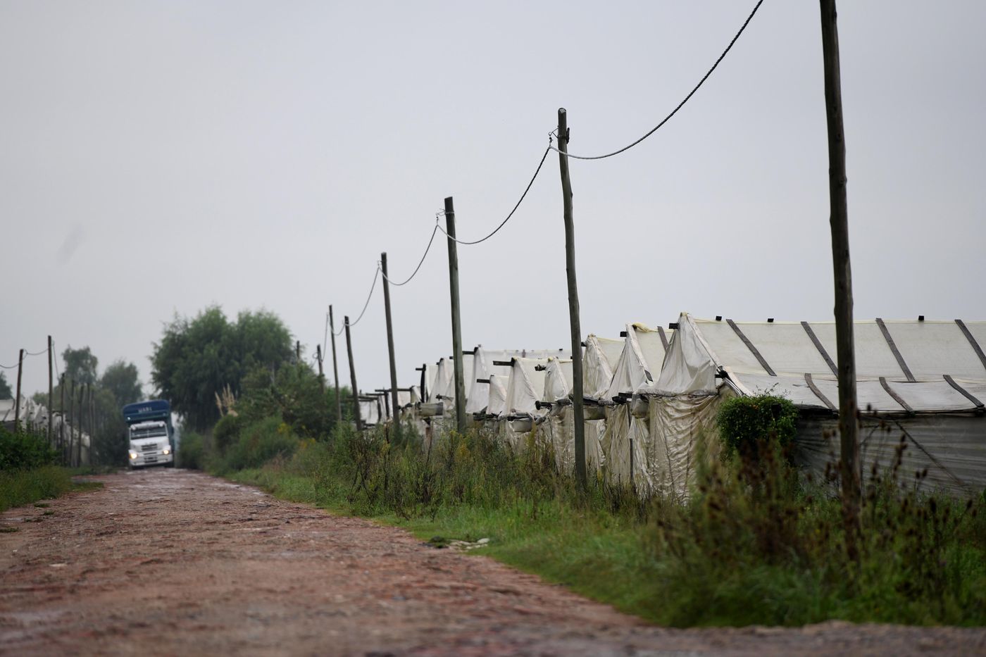 Quintas quinteros cordón frutihortícola invernáculos(15).jpg