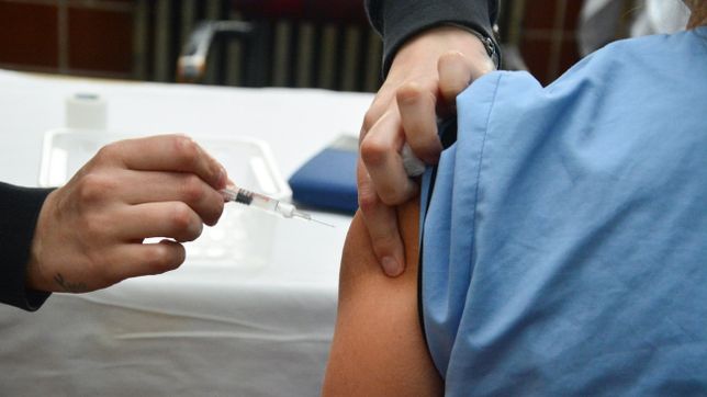 los afiliados de ioma ya pueden aplicarse la vacuna antigripal
