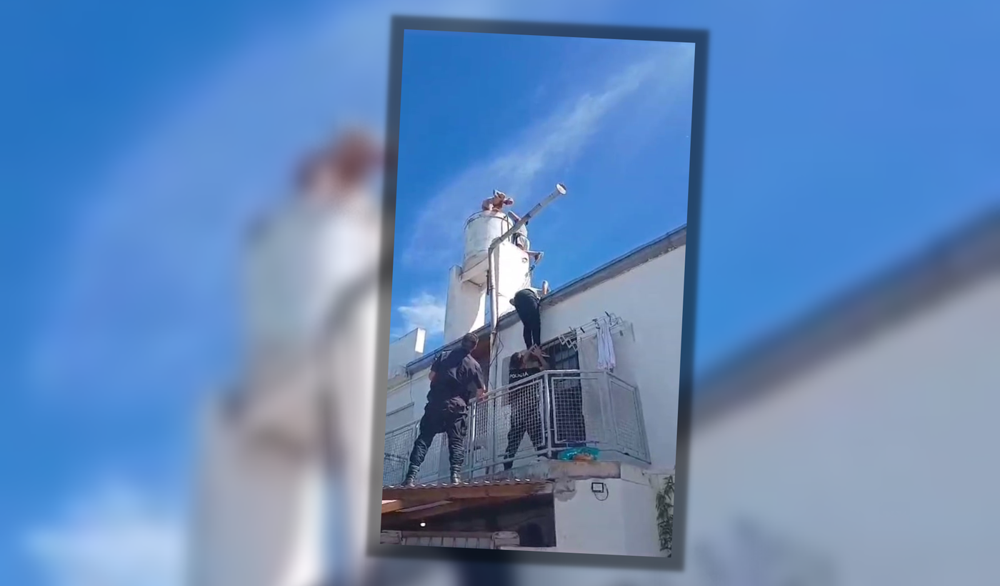 Copia de Tapa horizontal.png